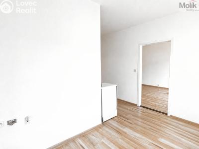 Prodej bytu 2+1 Krupka, Karla Čapka 258 č. 11