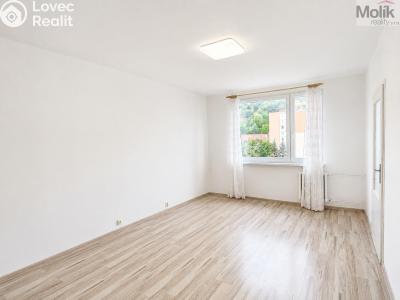 Prodej bytu 2+1 Krupka, Karla Čapka 258 č. 12