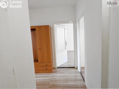 Prodej bytu 2+1 Krupka, Karla Čapka 258 č. 21