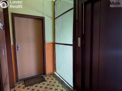 Prodej bytu 2+1 Krupka, Karla Čapka 258 č. 23