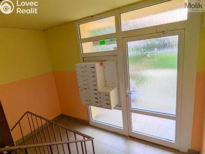 Prodej bytu 2+1 Krupka, Karla Čapka 258 č. 25