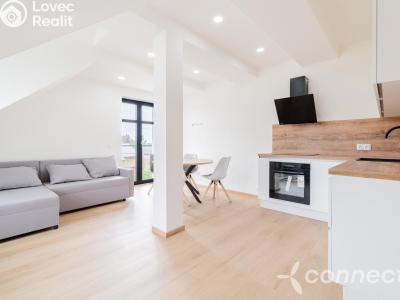 Продажа квартиры 1+KK Nový Bor, Prokopa Velikého 1002 č. 23