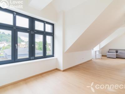 Продажа квартиры 1+KK Nový Bor, Prokopa Velikého 1002 č. 18