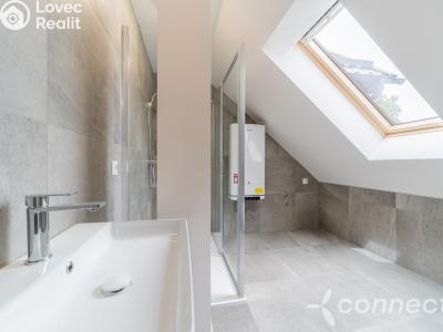 Продажа квартиры 1+KK Nový Bor, Prokopa Velikého 1002 č. 19