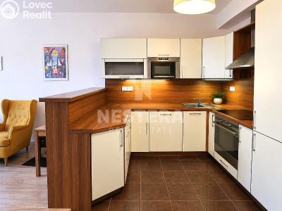 Sale apartment 3+KK Praha, Svitákova č. 4