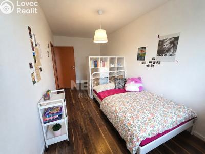 Sale apartment 3+KK Praha, Svitákova č. 6