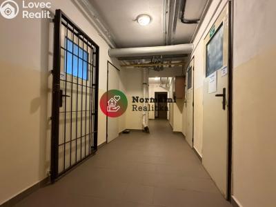 Prodej bytu 2+1 Ústí nad Labem, Anežky České č. 41