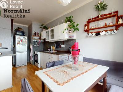 Prodej bytu 2+1 Ústí nad Labem, Anežky České č. 2