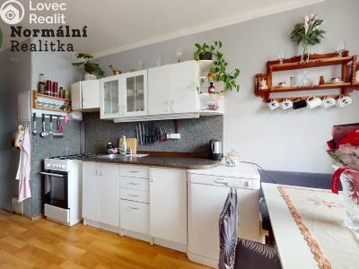 Prodej bytu 2+1 Ústí nad Labem, Anežky České č. 14