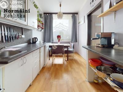 Prodej bytu 2+1 Ústí nad Labem, Anežky České č. 19