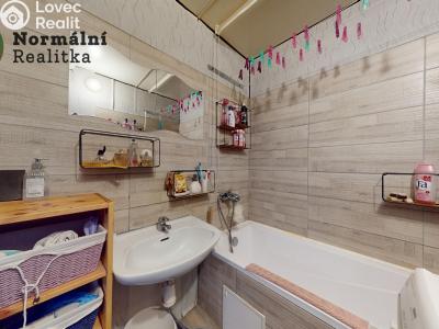 Prodej bytu 2+1 Ústí nad Labem, Anežky České č. 22