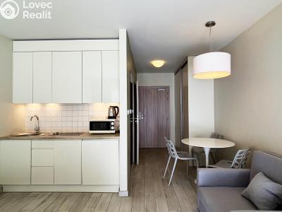 Prodej apartmánů Dolní Morava č. 4