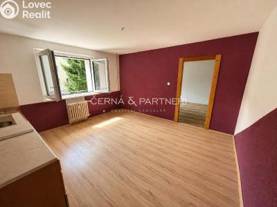 Rent apartment 2+KK Horní Slavkov, Dlouhá č. 4