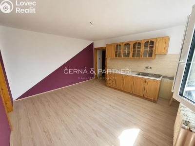 Rent apartment 2+KK Horní Slavkov, Dlouhá č. 1
