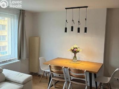 Sale apartment 3+KK Písek, Budovatelská 1926 č. 5