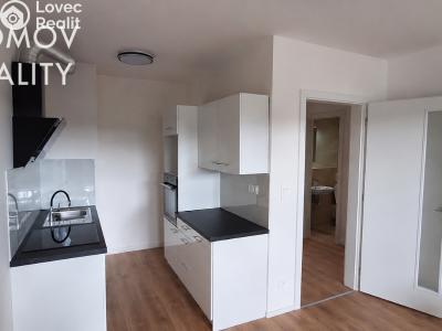 Rent apartment 2+KK Beroun, U Židovského hřbitova č. 2