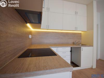Rent apartment 2+KK Rakovník, Vladislavova č. 5