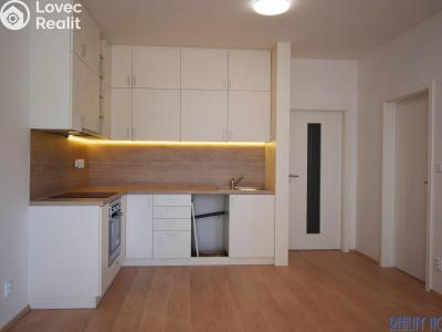 Rent apartment 2+KK Rakovník, Vladislavova č. 8