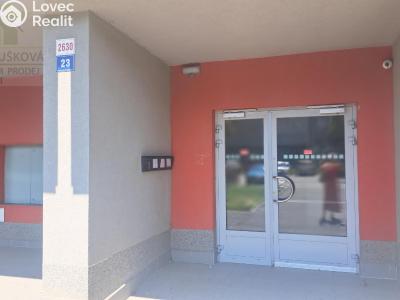Pronájem bytu 1+1 Ostrava, Pavlovova č. 3