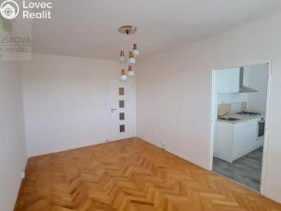 Pronájem bytu 1+1 Ostrava, Pavlovova č. 6