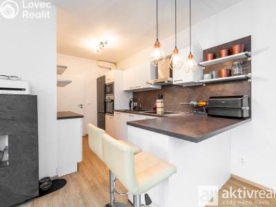 Rent apartment 2+KK Vrané nad Vltavou, U Elektrárny č. 17