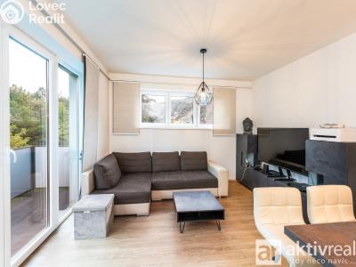 Rent apartment 2+KK Vrané nad Vltavou, U Elektrárny č. 1