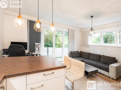 Rent apartment 2+KK Vrané nad Vltavou, U Elektrárny č. 3