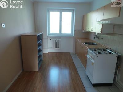 Prodej bytu 1+1 Meziboří, Okružní 238 č. 5