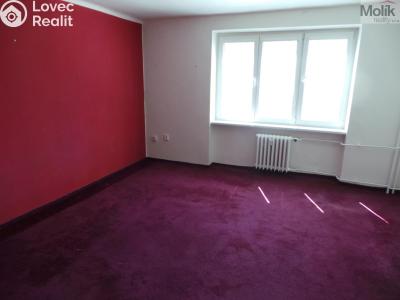 Prodej bytu 1+1 Meziboří, Okružní 238 č. 6