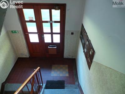 Prodej bytu 1+1 Meziboří, Okružní 238 č. 14