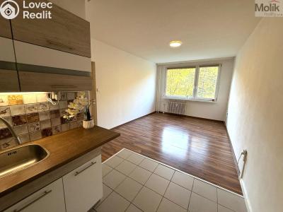 Rent apartment 2+KK Most, Josefa Suka č. 1