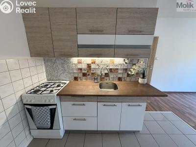 Rent apartment 2+KK Most, Josefa Suka č. 2