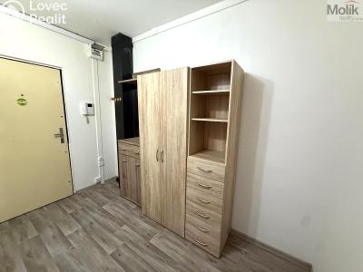 Rent apartment 2+KK Most, Josefa Suka č. 10