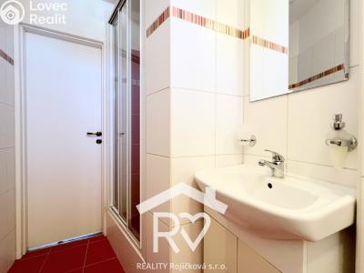 Pronájem bytu 4+1 Ostrava, Veleslavínova č. 22