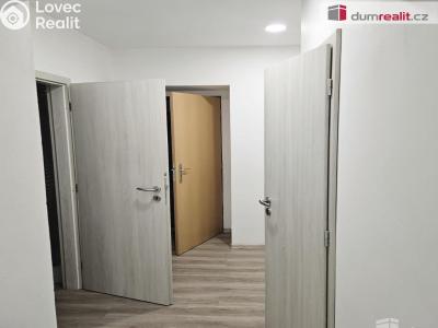 Pronájem bytu 1+1 Františkov nad Ploučnicí č. 3
