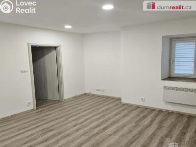 Pronájem bytu 1+1 Františkov nad Ploučnicí č. 4