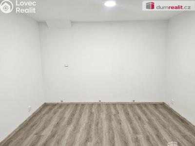 Pronájem bytu 1+1 Františkov nad Ploučnicí č. 6