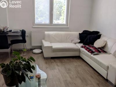 Продажа квартиры 2+1 Hluboká nad Vltavou, Palackého 639 č. 5
