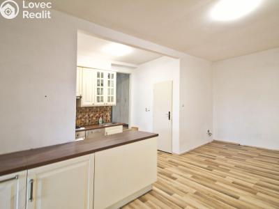 Rent apartment 2+KK Líně, Plzeňská 345 č. 5