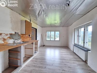 Prodej vícegeneračního domu Zlatá Olešnice č. 10