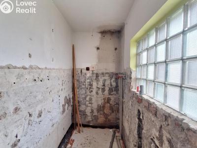 Prodej vícegeneračního domu Zlatá Olešnice č. 12