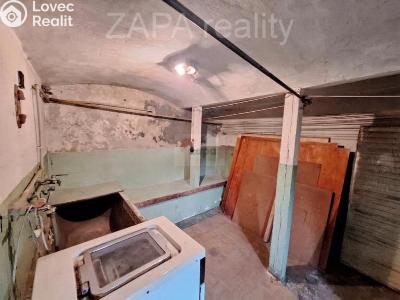 Prodej vícegeneračního domu Zlatá Olešnice č. 17