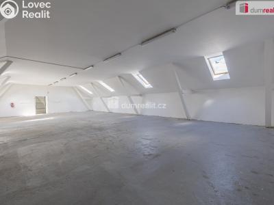 Pronájem výrobní haly Doksy, Václ. Plecitého č. 23