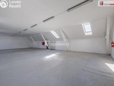 Pronájem výrobní haly Doksy, Václ. Plecitého č. 25