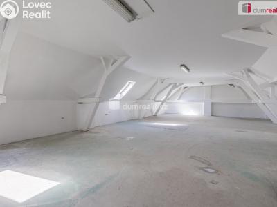 Pronájem výrobní haly Doksy, Václ. Plecitého č. 26