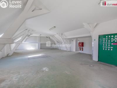 Pronájem výrobní haly Doksy, Václ. Plecitého č. 27