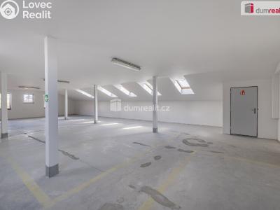 Pronájem výrobní haly Doksy, Václ. Plecitého č. 28