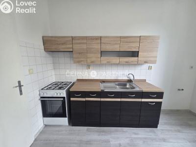 Prodej činžovního domu Novosedlice, Vodní č. 15