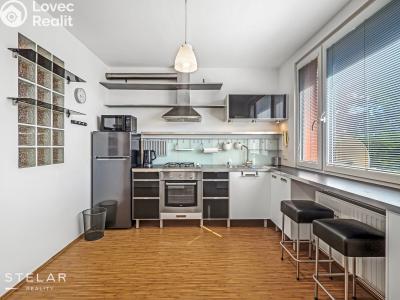Sale apartment 1+1 Frýdek-Místek, Beethovenova 1855 č. 1