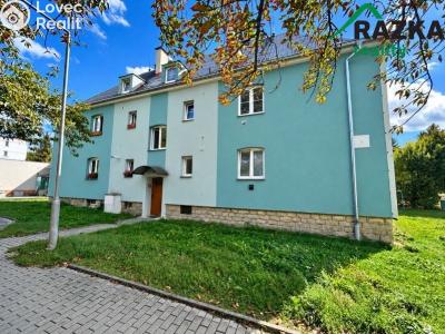 Sale apartment 2+1 Planá, Wolkerova č. 12